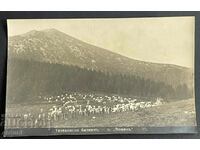 3508 Kingdom of Bulgaria Teteven peak Vezhen shepherds 20s
