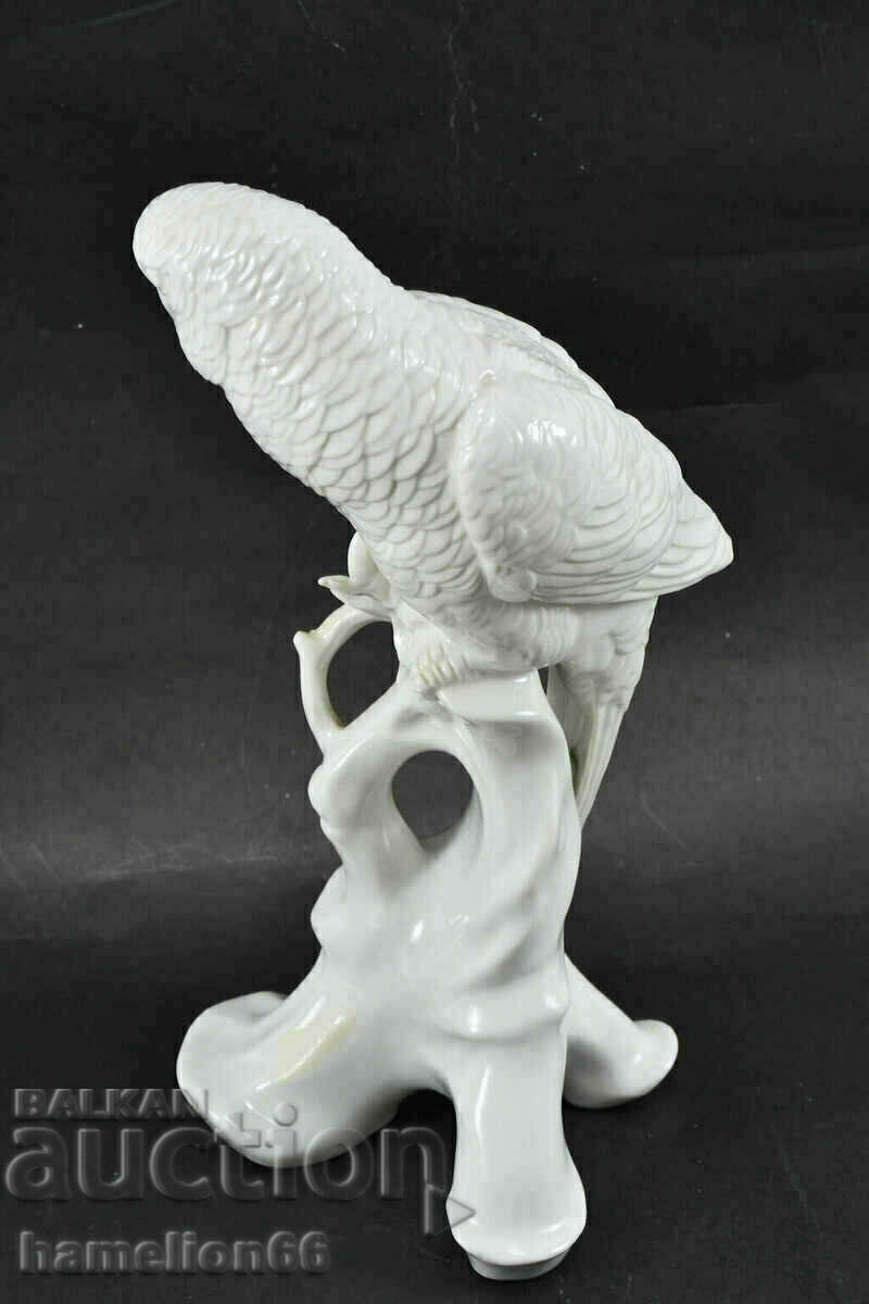 Porcelain statuette. parrot Ens porcelain, rare - 5 Porcelain statuette. parrot Ens porcelain, rare - 5