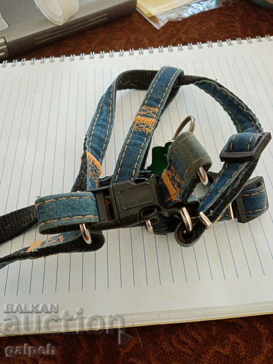 Leash with price 3.00 BGN | € 1.53 Leash with price 3.00 BGN | € 1.53