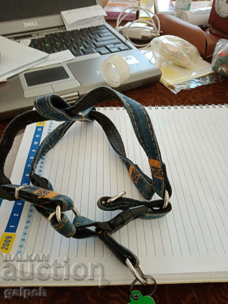 Auction Leash Auction Leash