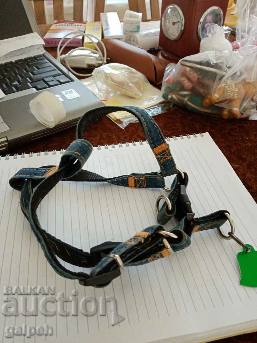 Delivery of Leash Delivery of Leash