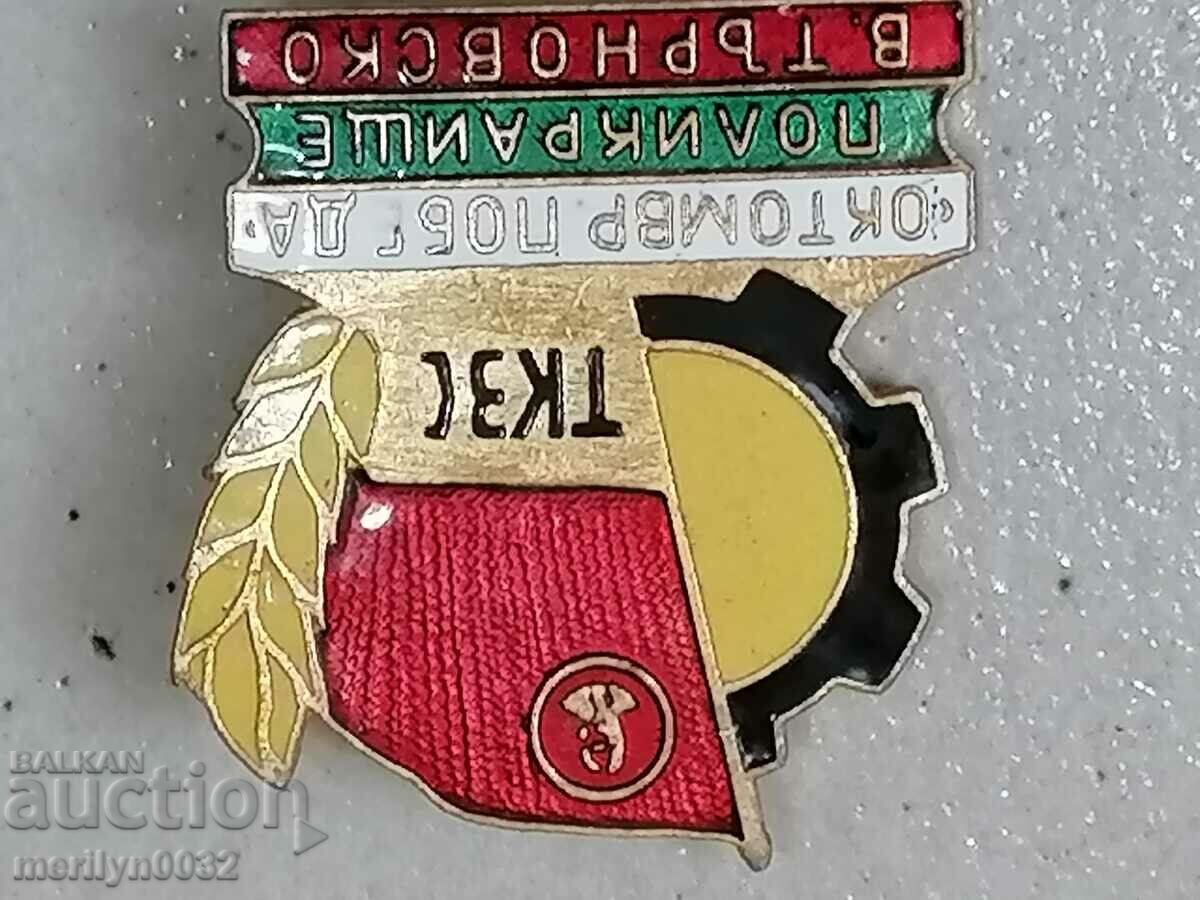 Badge TKZS Polikraishte medal badge - 5 Badge TKZS Polikraishte medal badge - 5
