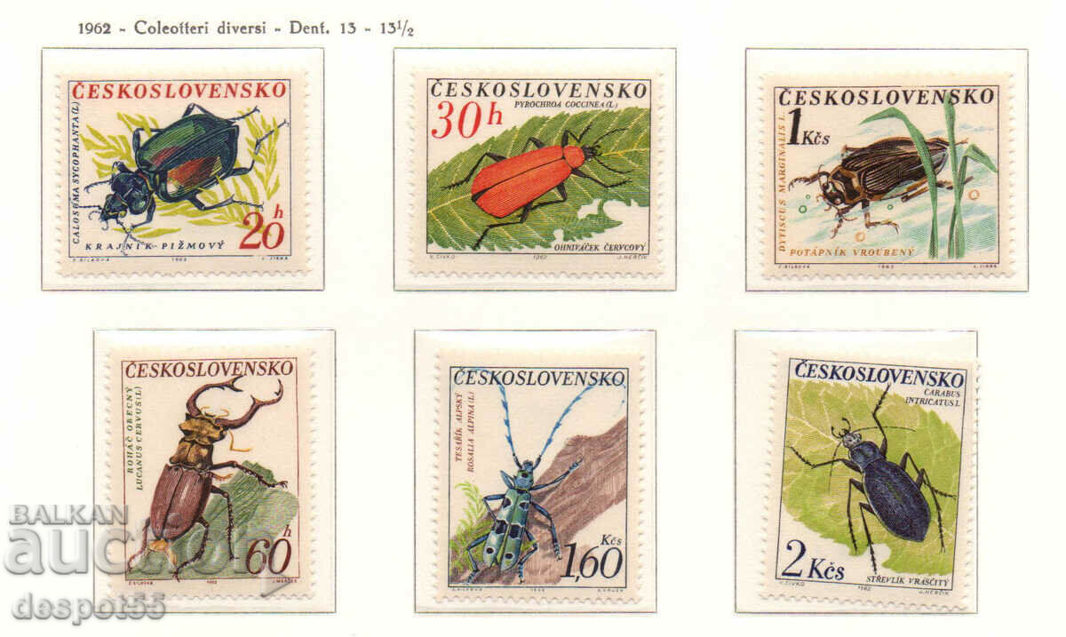 1962. Czechoslovakia. Beetles.