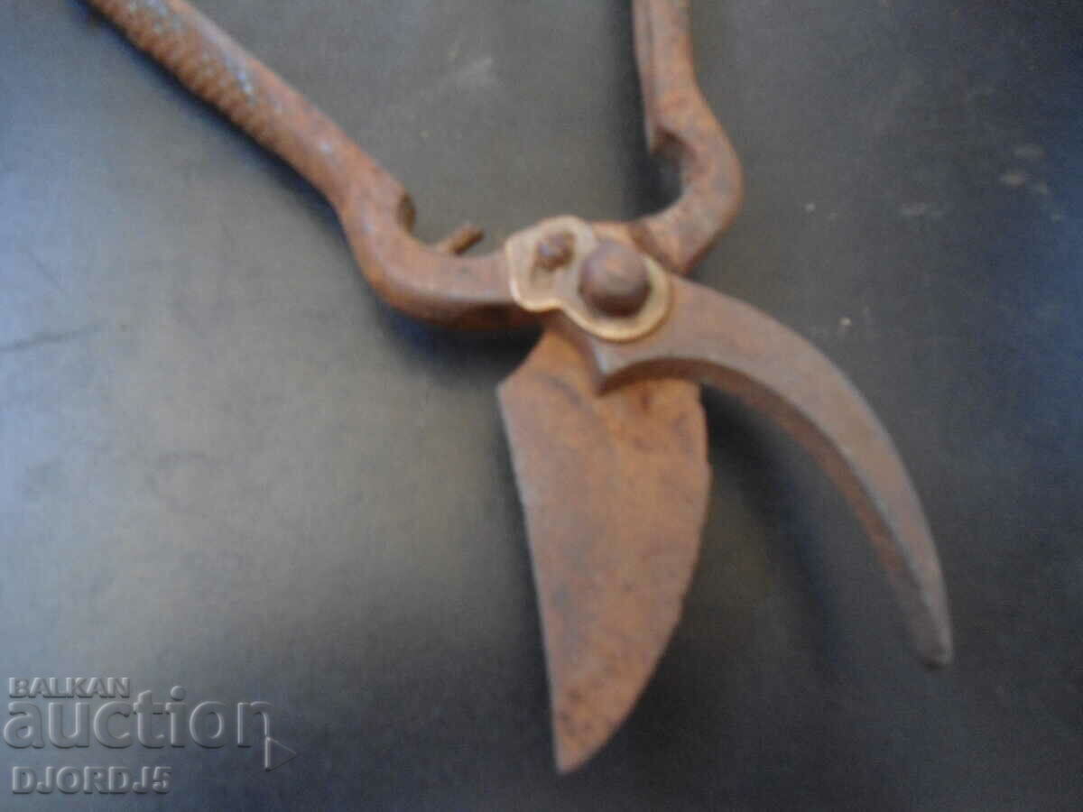 Livrarea foarfece de grădină vechi Livrarea foarfece de grădină vechi