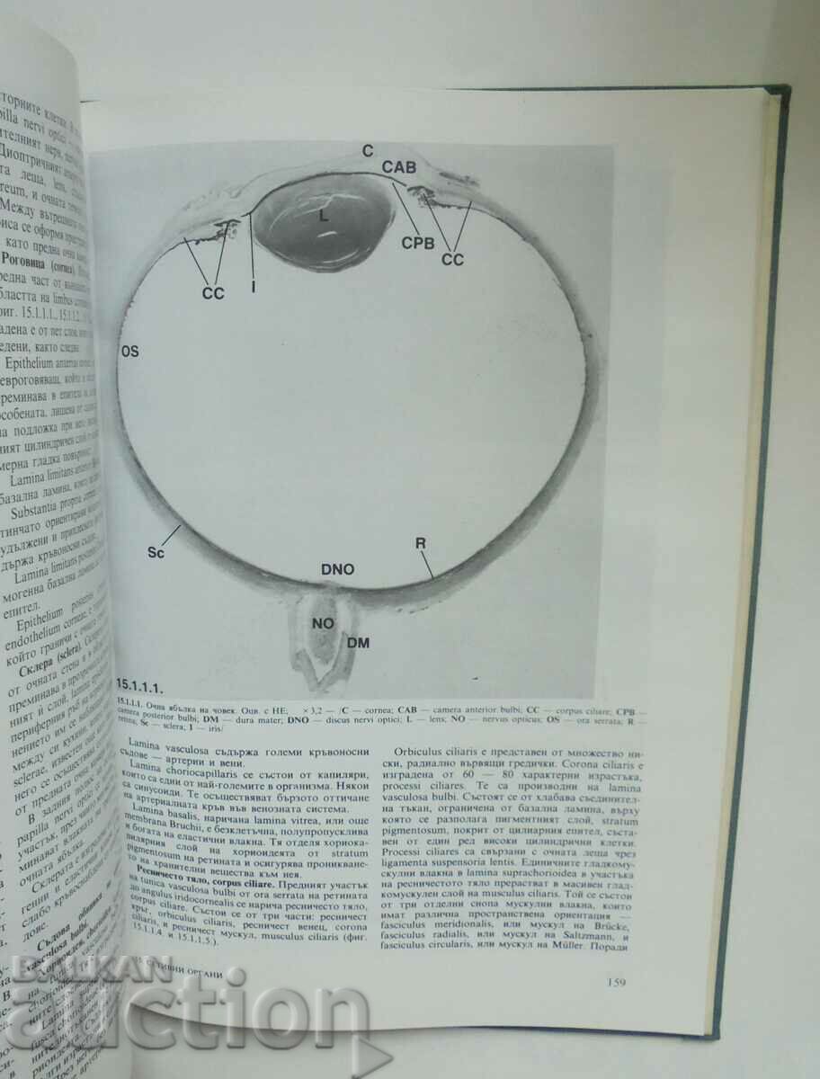 Atlas of histology - Petko Petkov and others. 1988 - 5 Atlas of histology - Petko Petkov and others. 1988 - 5