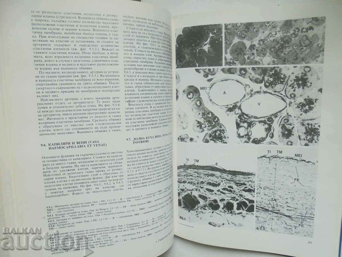Atlas of histology - Petko Petkov and others. 1988 - 6 Atlas of histology - Petko Petkov and others. 1988 - 6