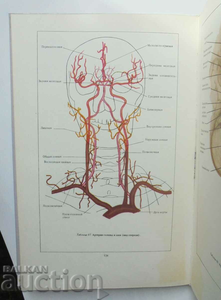 neuropathologies and neurosurgery - L. I. Sandrigailo 1986 - 5 neuropathologies and neurosurgery - L. I. Sandrigailo 1986 - 5