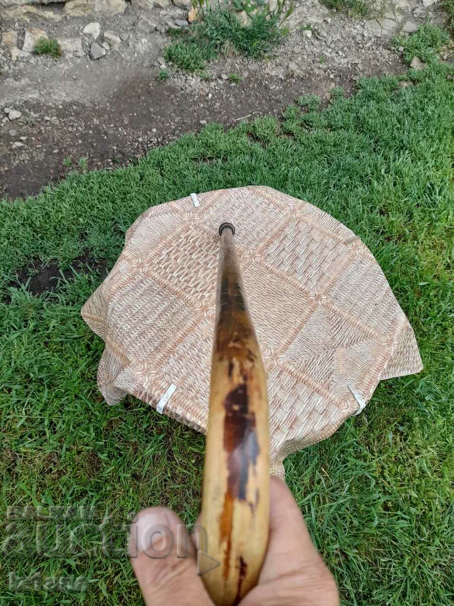 An old cane - 5 An old cane - 5