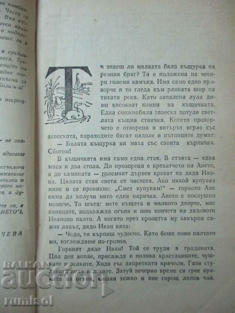 Auction Aneto - Angel Karaliichev Auction Aneto - Angel Karaliichev