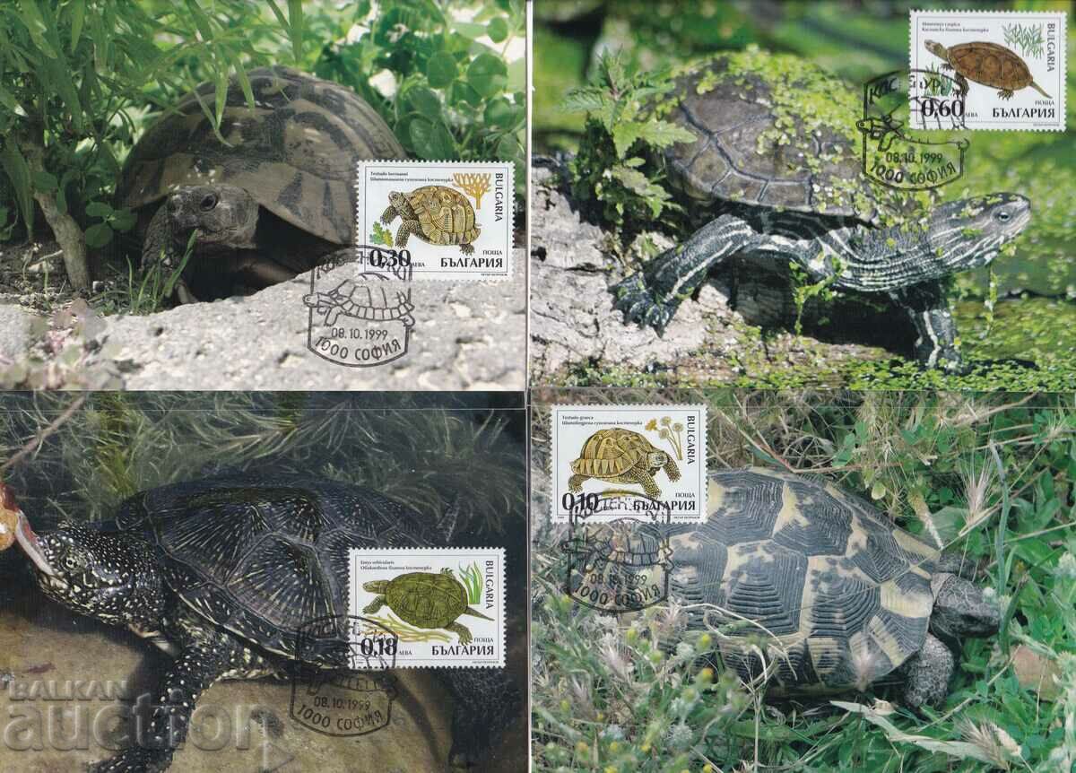 Cards maximum 1999 Protected Turtles Bulgaria No. 4423-26