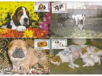 Карти максимум 1997 Кученца № 4275- 78 Тир 200 бр