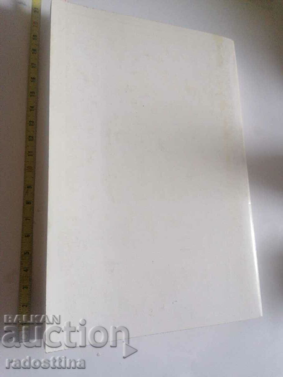 Television the political machine Margarita Pesheva with price 29.99 BGN | € 15.33 Television the political machine Margarita Pesheva with price 29.99 BGN | € 15.33