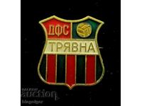 Παλιό σήμα ποδοσφαίρου - DFS Tryavna
