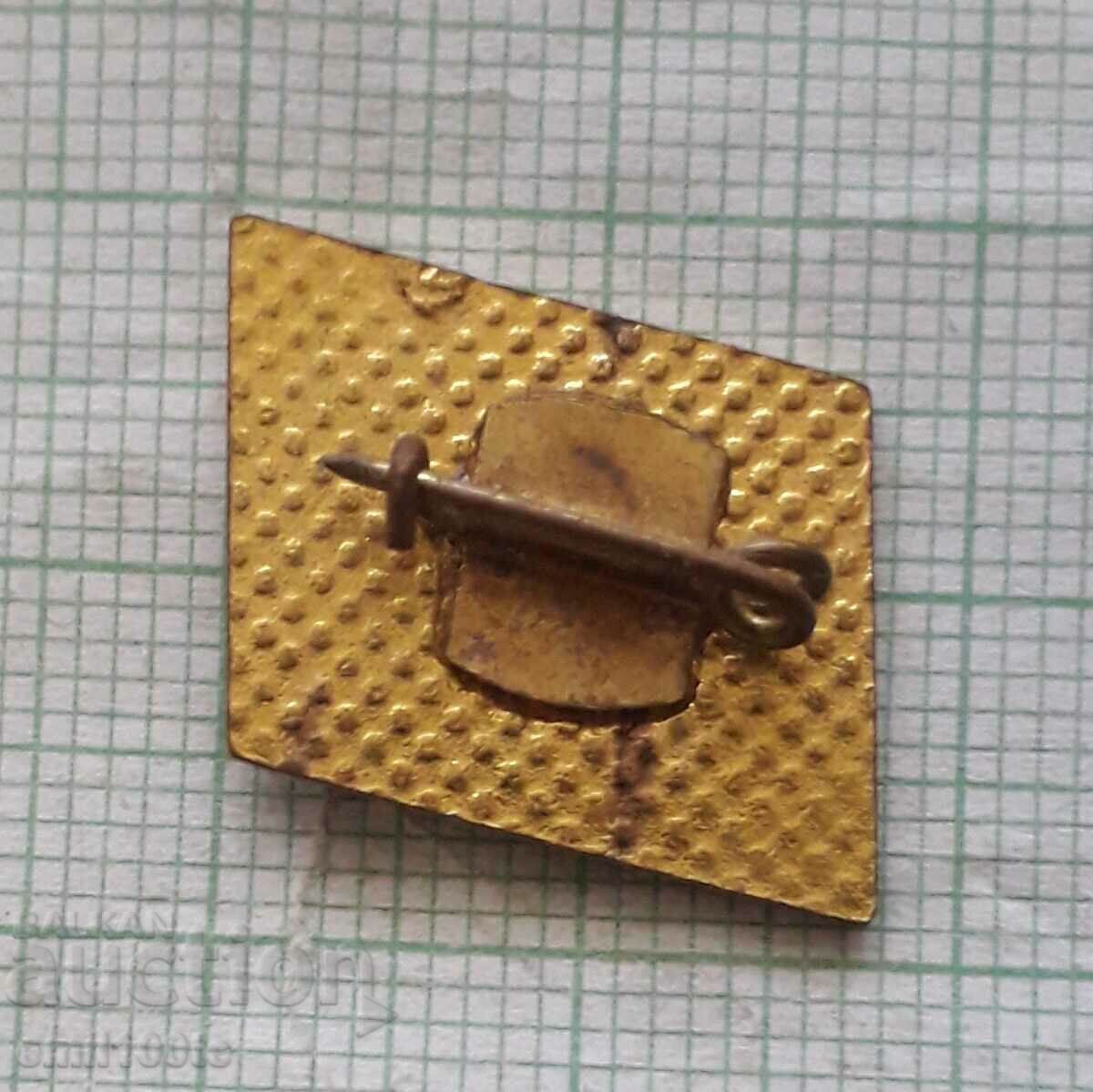 Delivery of Badge - SBZ Union of Bulgarian Journalists