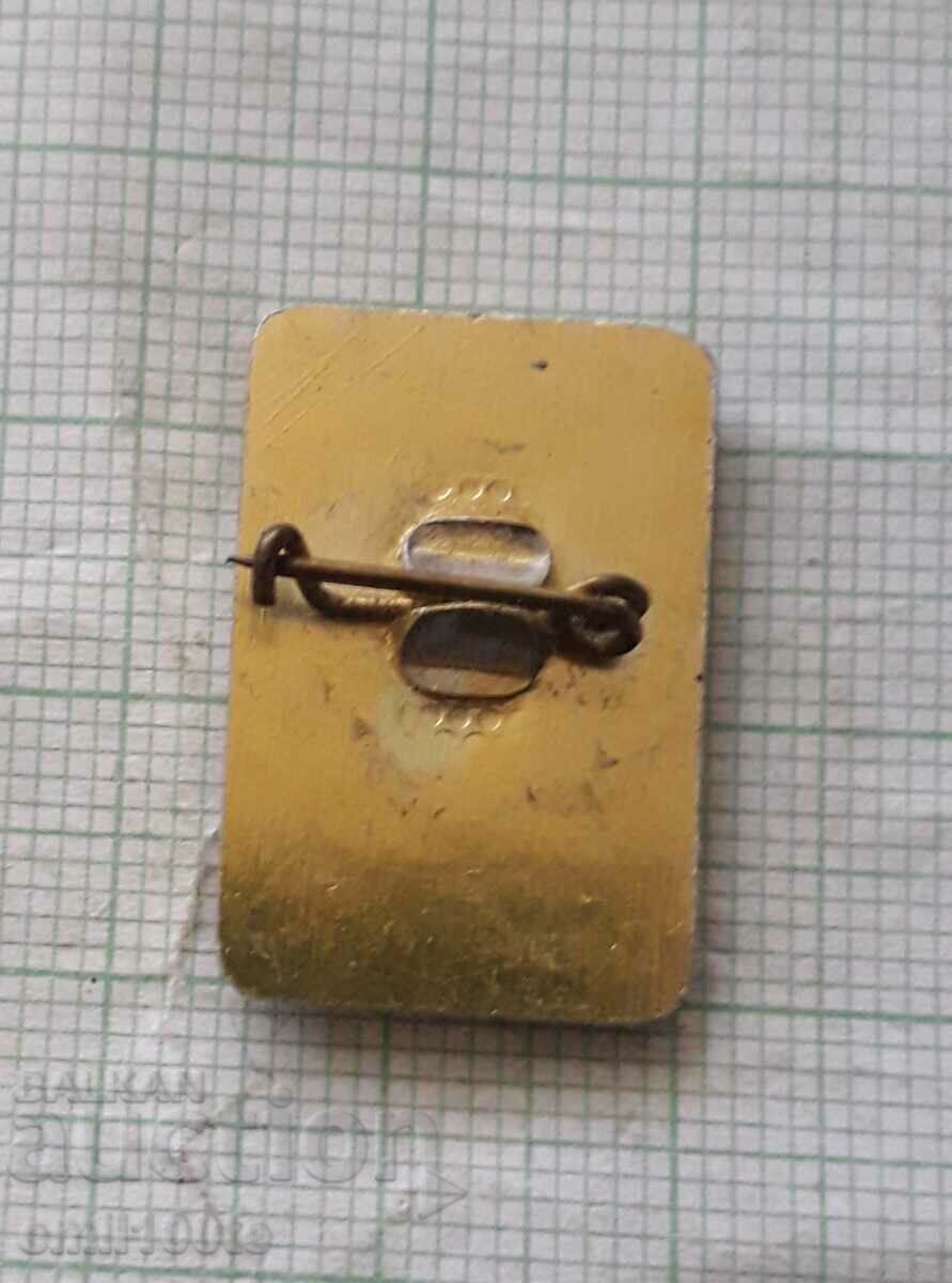 Delivery of Badge - Festival of youth and students Delivery of Badge - Festival of youth and students