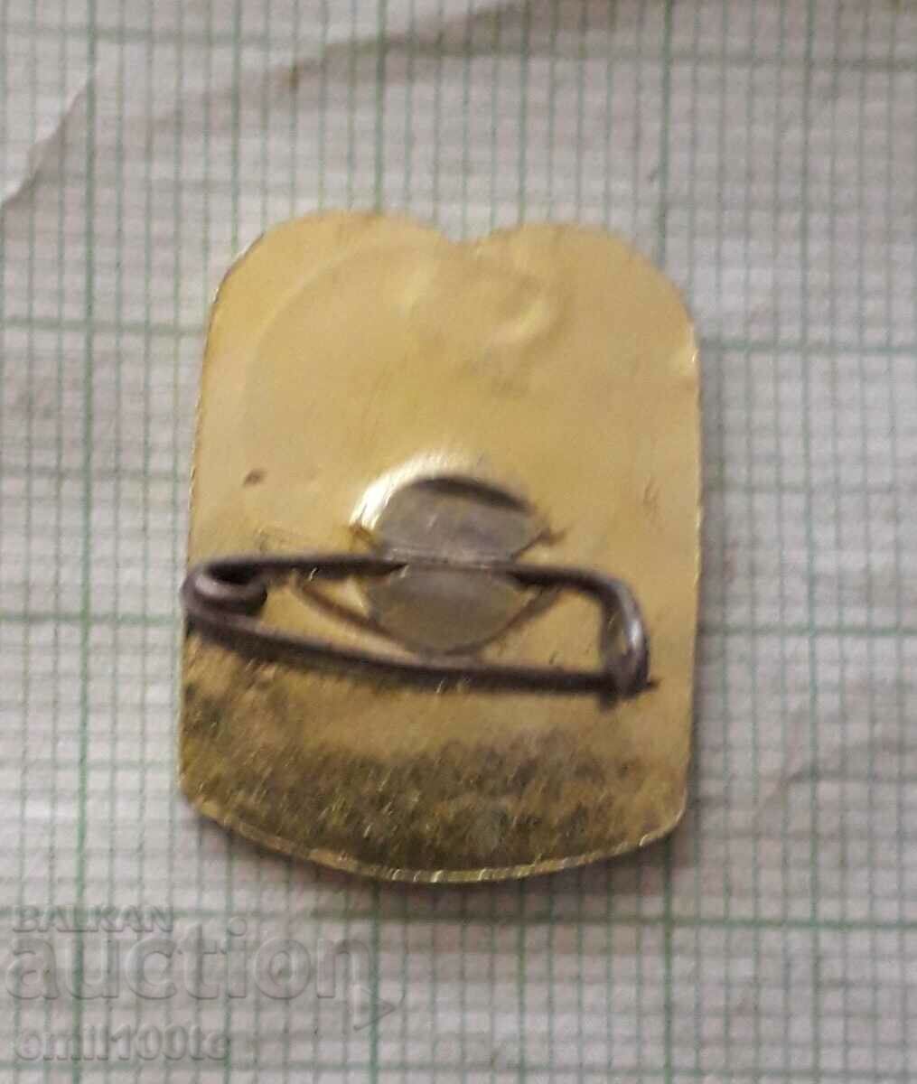 Delivery of Badge - Hissar Delivery of Badge - Hissar