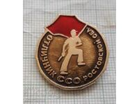 Badge - Excellent SSO Rostov region