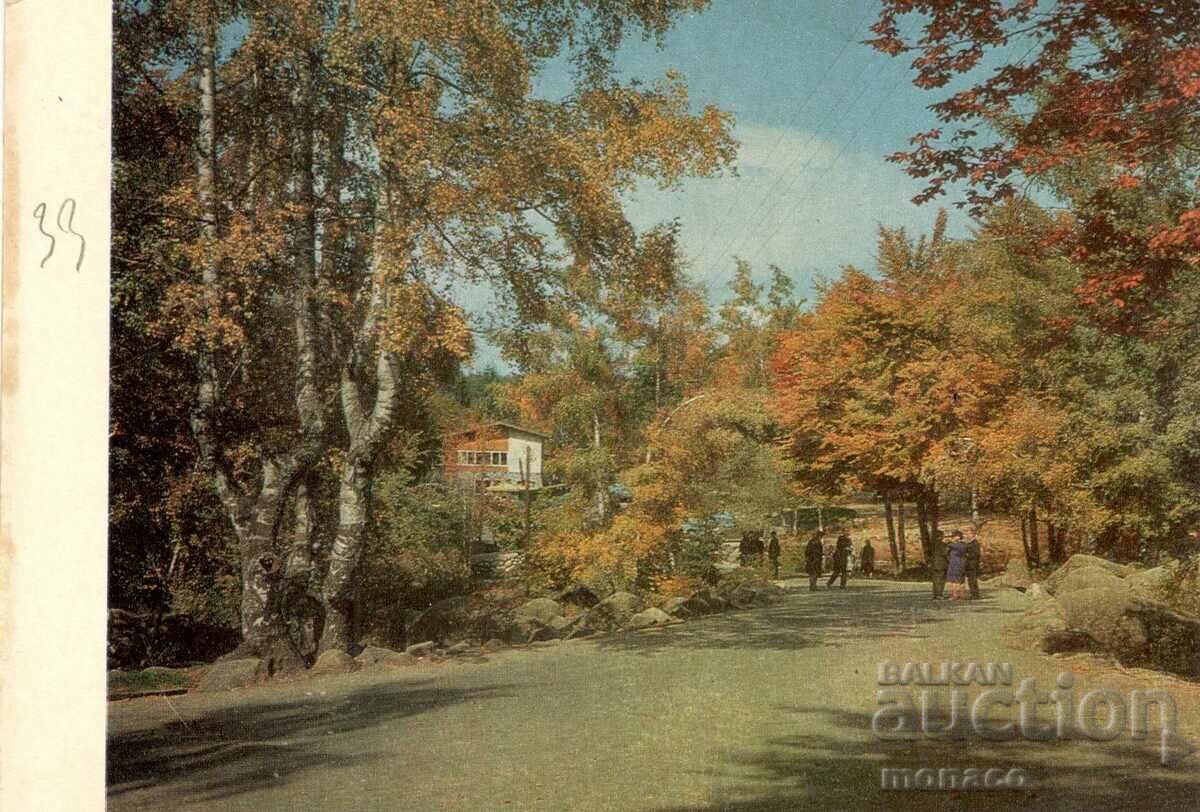 Old postcard - Sofia, Vitosha