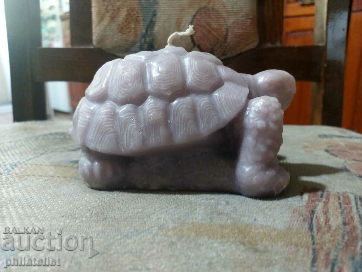 candle - turtle with price 8.00 BGN | € 4.09 candle - turtle with price 8.00 BGN | € 4.09