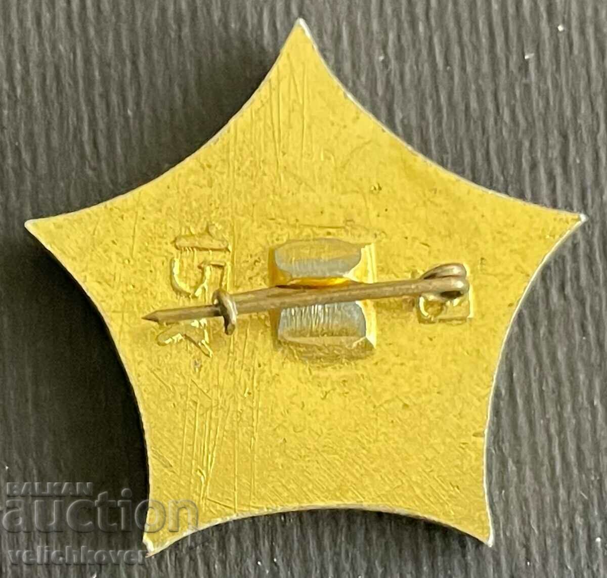 34704 USSR sign coat of arms city of Simbirsk Ulyanov with price 3.00 BGN | € 1.53 34704 USSR sign coat of arms city of Simbirsk Ulyanov with price 3.00 BGN | € 1.53