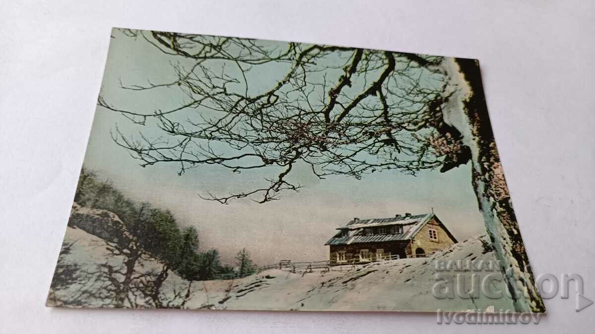 Пощенска картичка Стара Планина Хижа Росица-Мазалат 1967