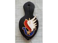 French Military Badge ? Transport troops?