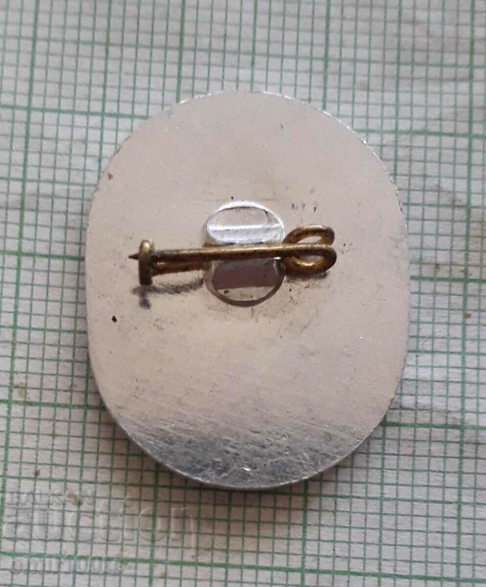 Доставка на Значка- ДФС Искър София Доставка на Значка- ДФС Искър София