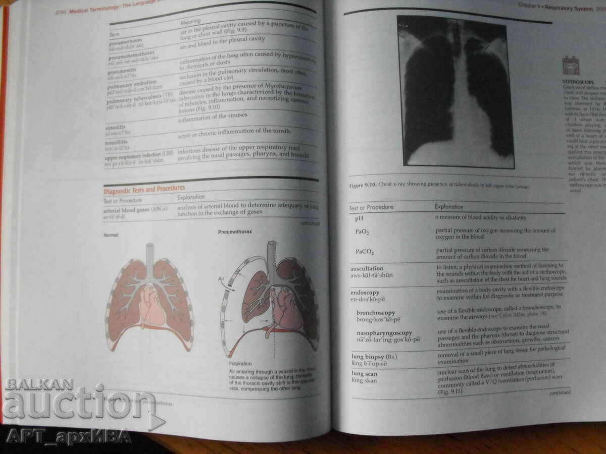 Delivery of Medical terminology. The Language of Health Care. Delivery of Medical terminology. The Language of Health Care.