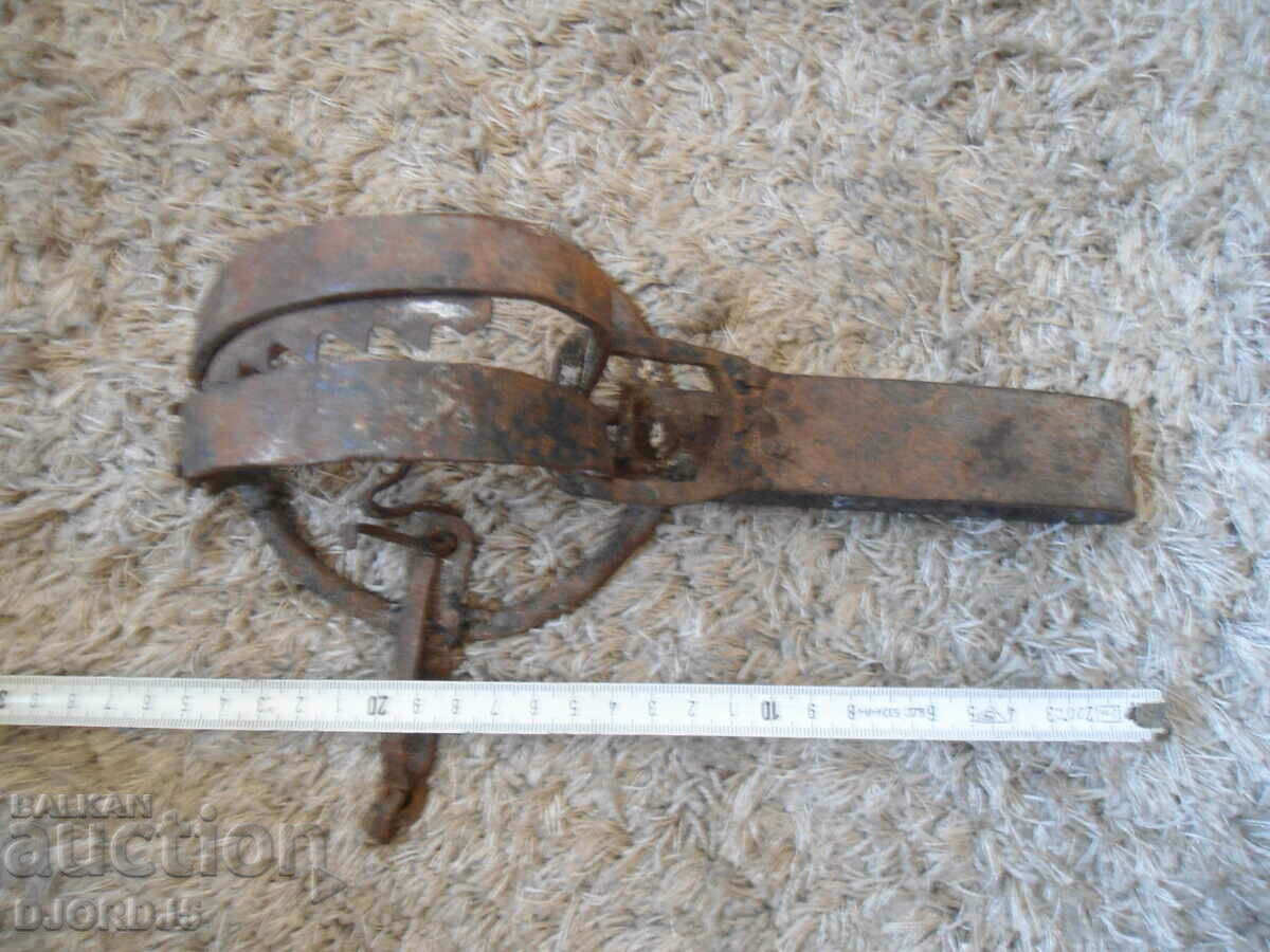 Παλιά συστάδα, παγίδα, δράση - 6 Παλιά συστάδα, παγίδα, δράση - 6