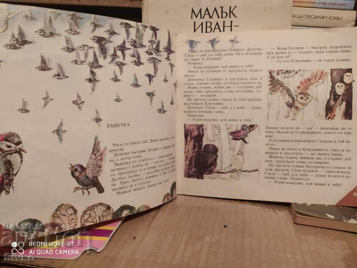 Forest houses, Vitaly Bianki, illustrations - K with price 1.99 BGN | € 1.02