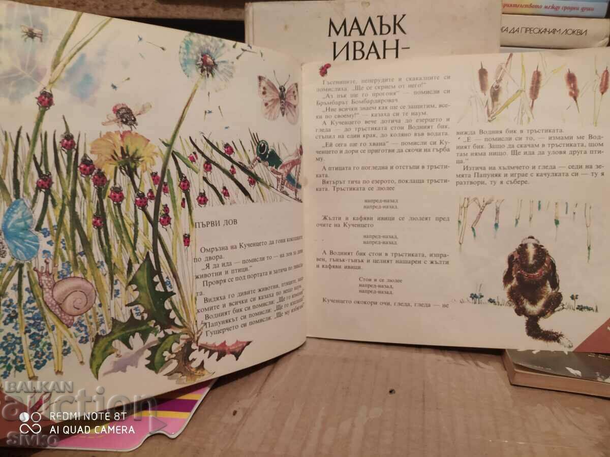 Auction  Forest houses, Vitaly Bianki, illustrations - K