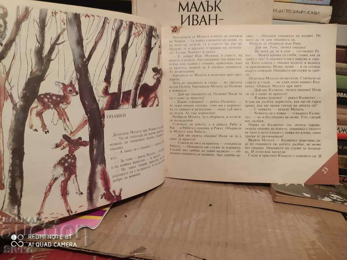 Forest houses, Vitaly Bianki, illustrations - K - 7