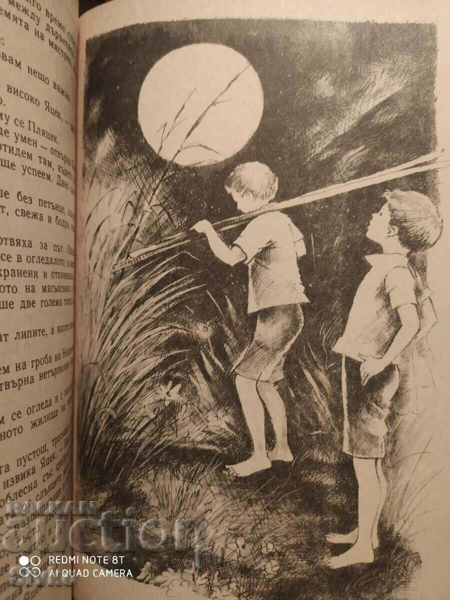 The Two Who Stole the Moon, Karnel Makushinski, illustrated by K with price 1.99 BGN | € 1.02 The Two Who Stole the Moon, Karnel Makushinski, illustrated by K with price 1.99 BGN | € 1.02