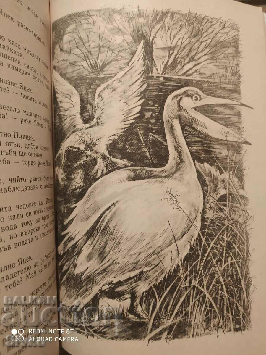 Delivery of The Two Who Stole the Moon, Karnel Makushinski, illustrated by K Delivery of The Two Who Stole the Moon, Karnel Makushinski, illustrated by K