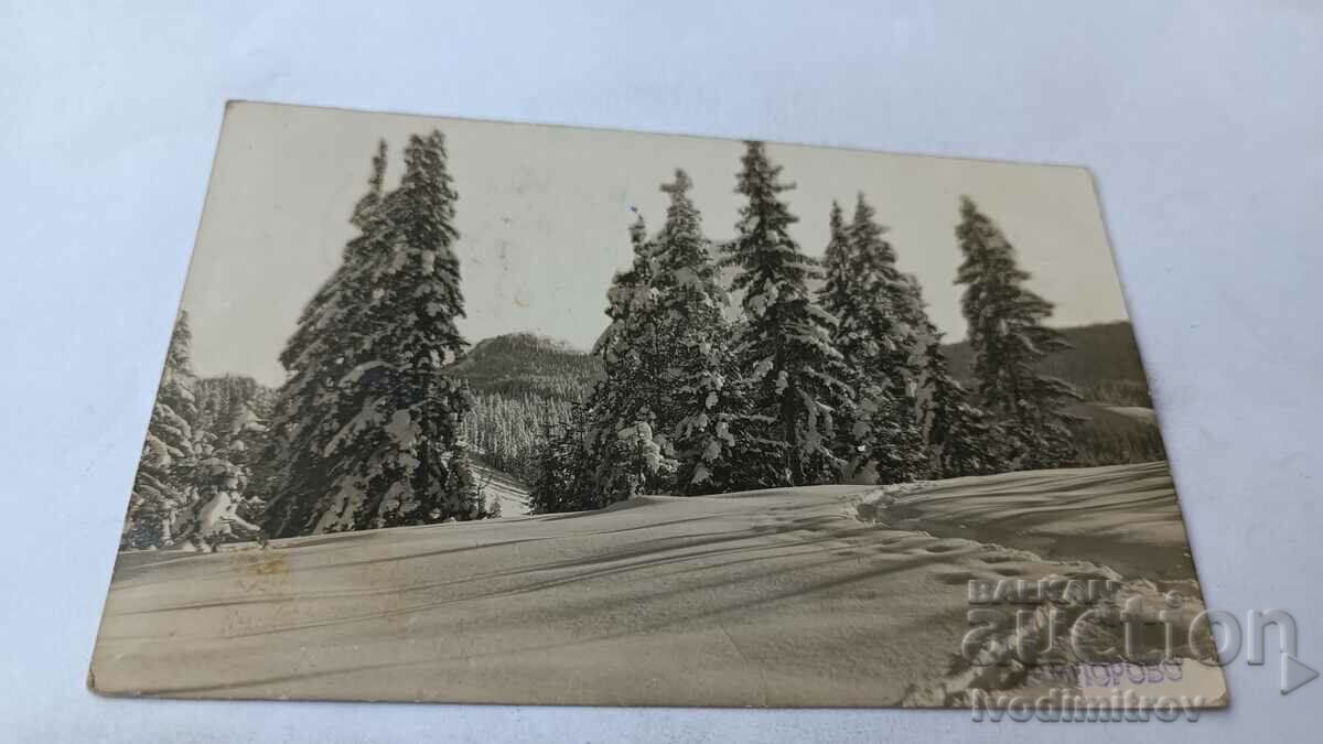 Carte poștală Pamporovo 1937