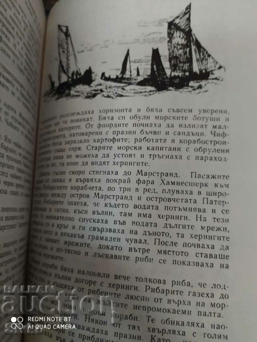 Delivery of The Wonderful Journey of Nils Holgersson, Selma Lagerlöf, many - K