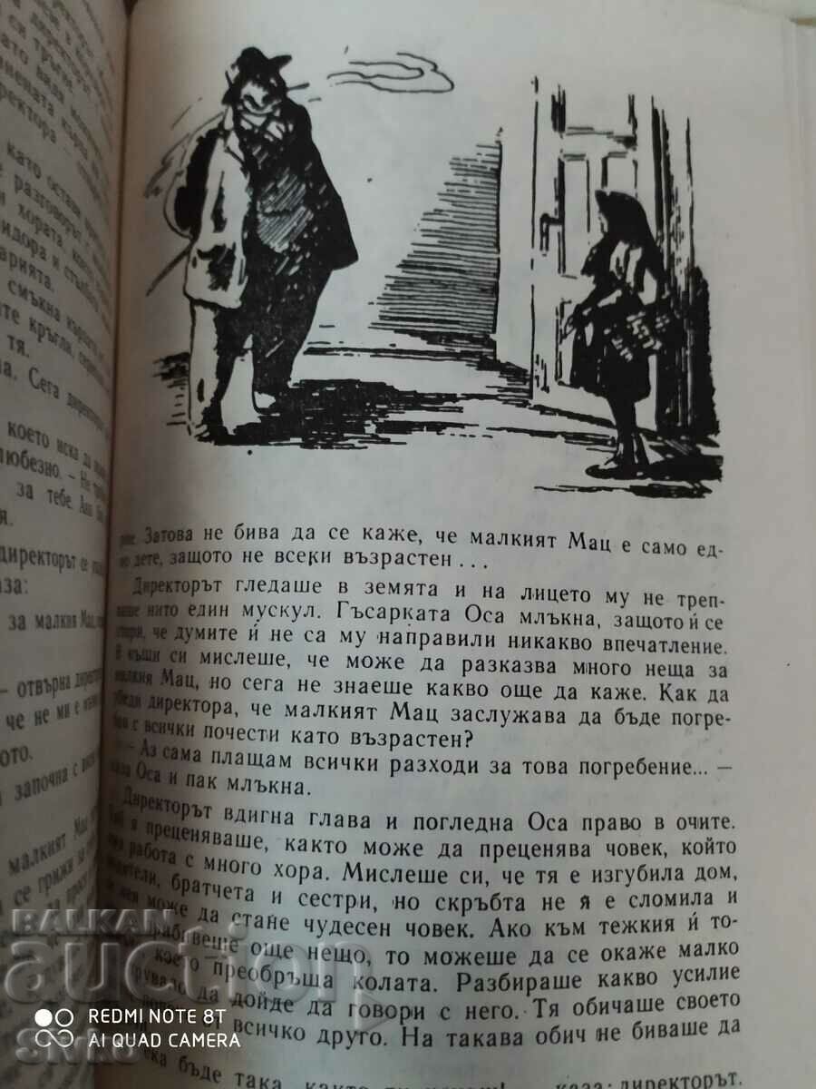 The Wonderful Journey of Nils Holgersson, Selma Lagerlöf, many - K - 6