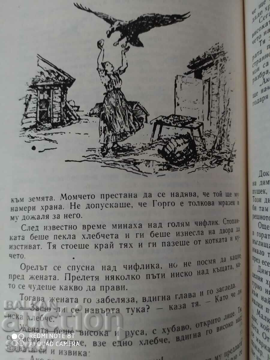 The Wonderful Journey of Nils Holgersson, Selma Lagerlöf, many - K - 7