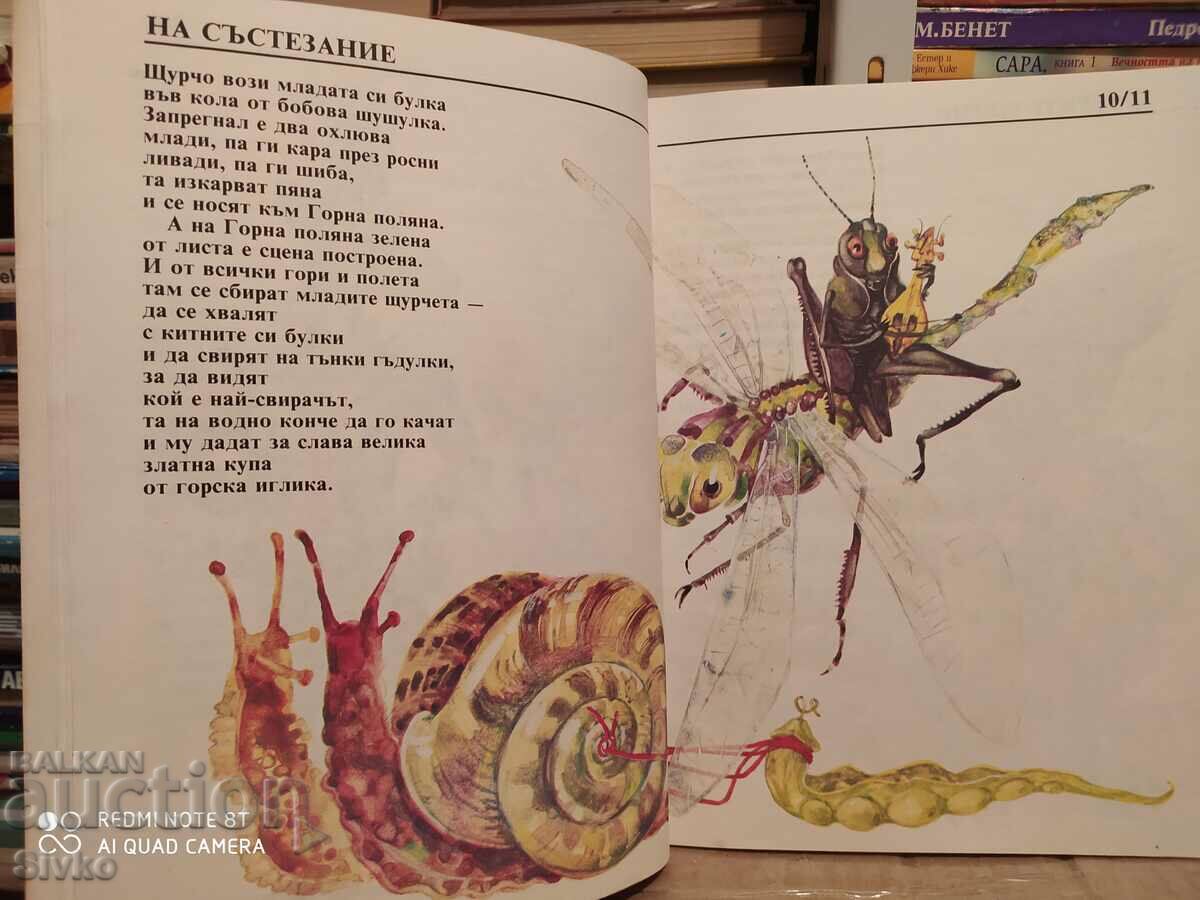 Delivery of Yunak Minzuharko, Asen Raztsvetnikov, illustrations - K Delivery of Yunak Minzuharko, Asen Raztsvetnikov, illustrations - K