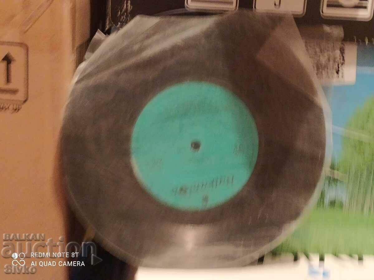 Auction Biser Kirov 2 gramophone record Auction Biser Kirov 2 gramophone record