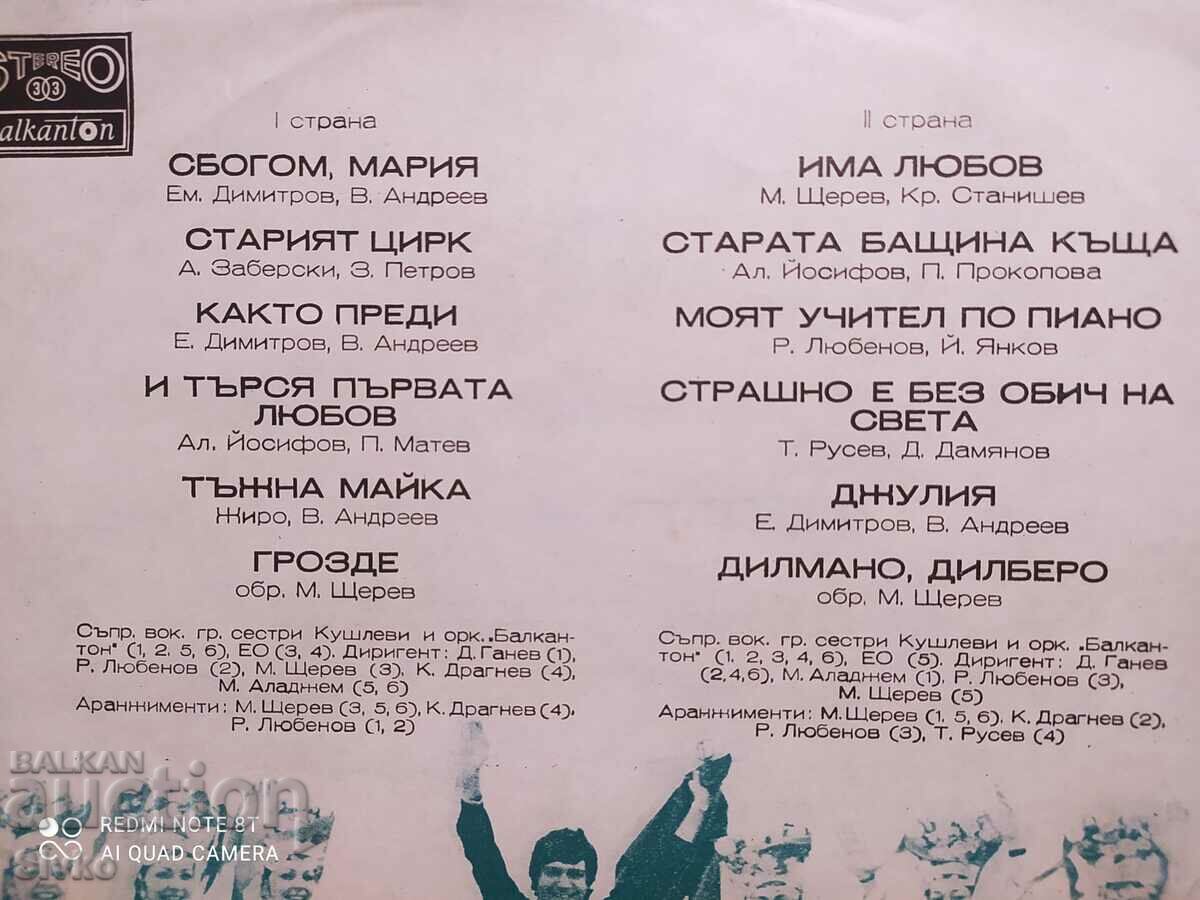 Auction Gramophone record Emil Dimitrov 12 Auction Gramophone record Emil Dimitrov 12