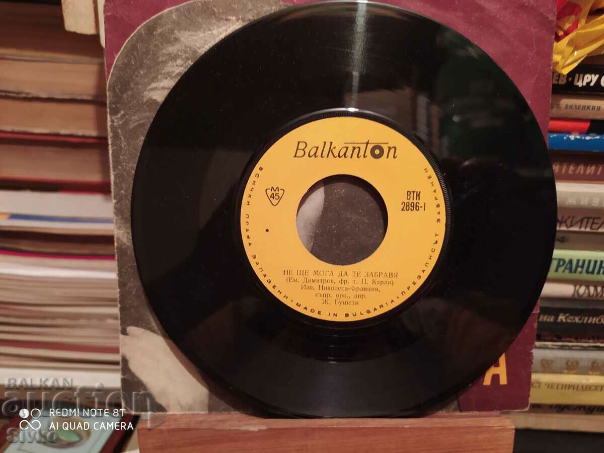 Auction Gramophone record Emil Dimitrov and NICOLETTA Auction Gramophone record Emil Dimitrov and NICOLETTA