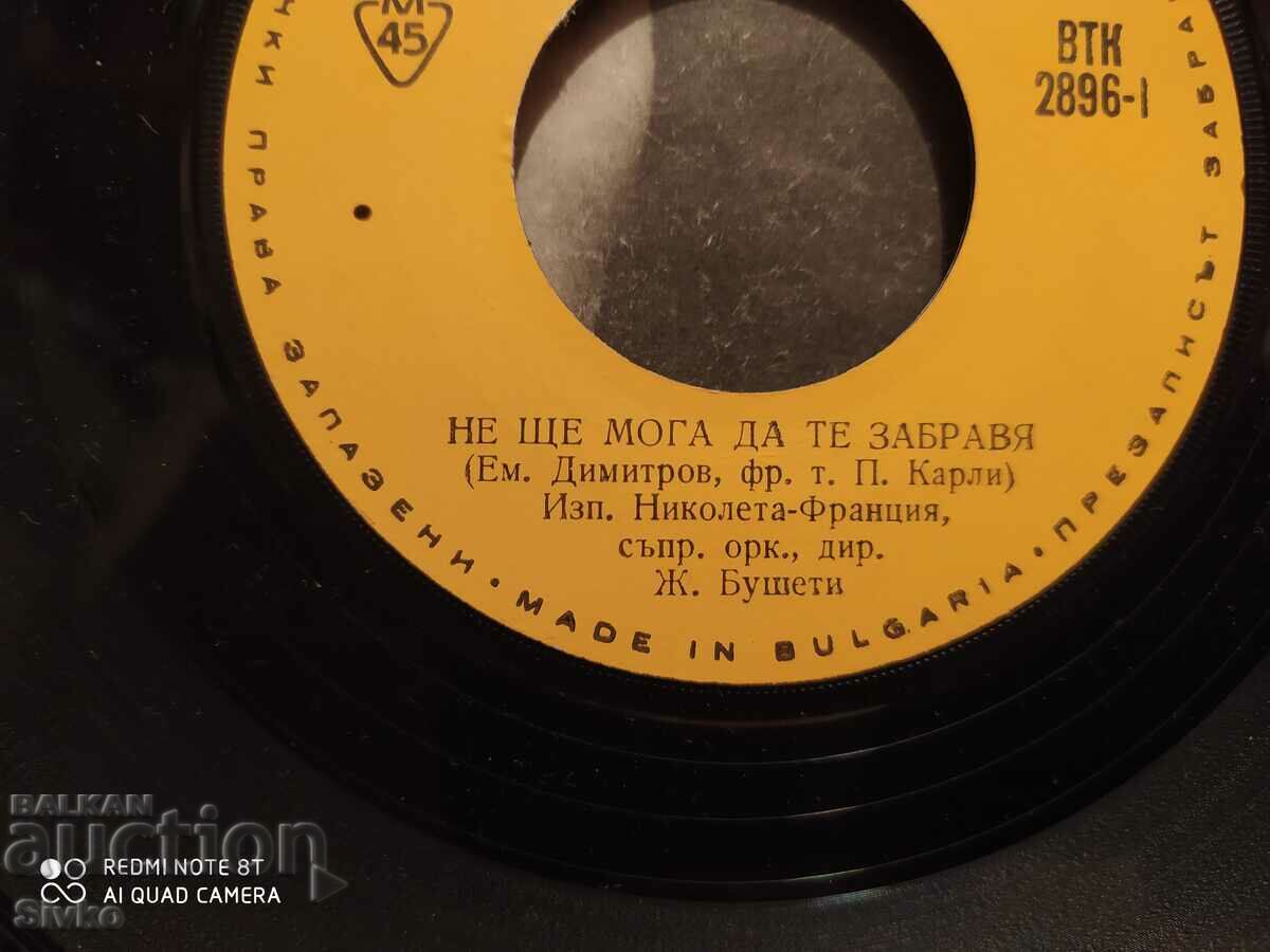 Delivery of Gramophone record Emil Dimitrov and NICOLETTA Delivery of Gramophone record Emil Dimitrov and NICOLETTA