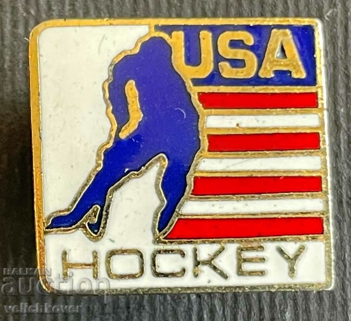 34783 USA badge American Ice Hockey Federation enamel