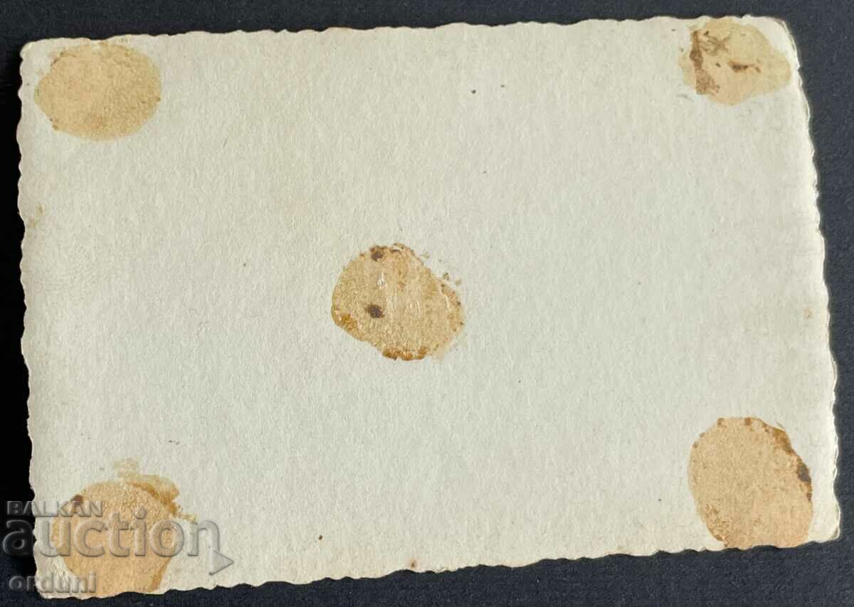 3535 Bulgaria construction troops in tanker uniforms 1949 with price 10.00 BGN | € 5.11