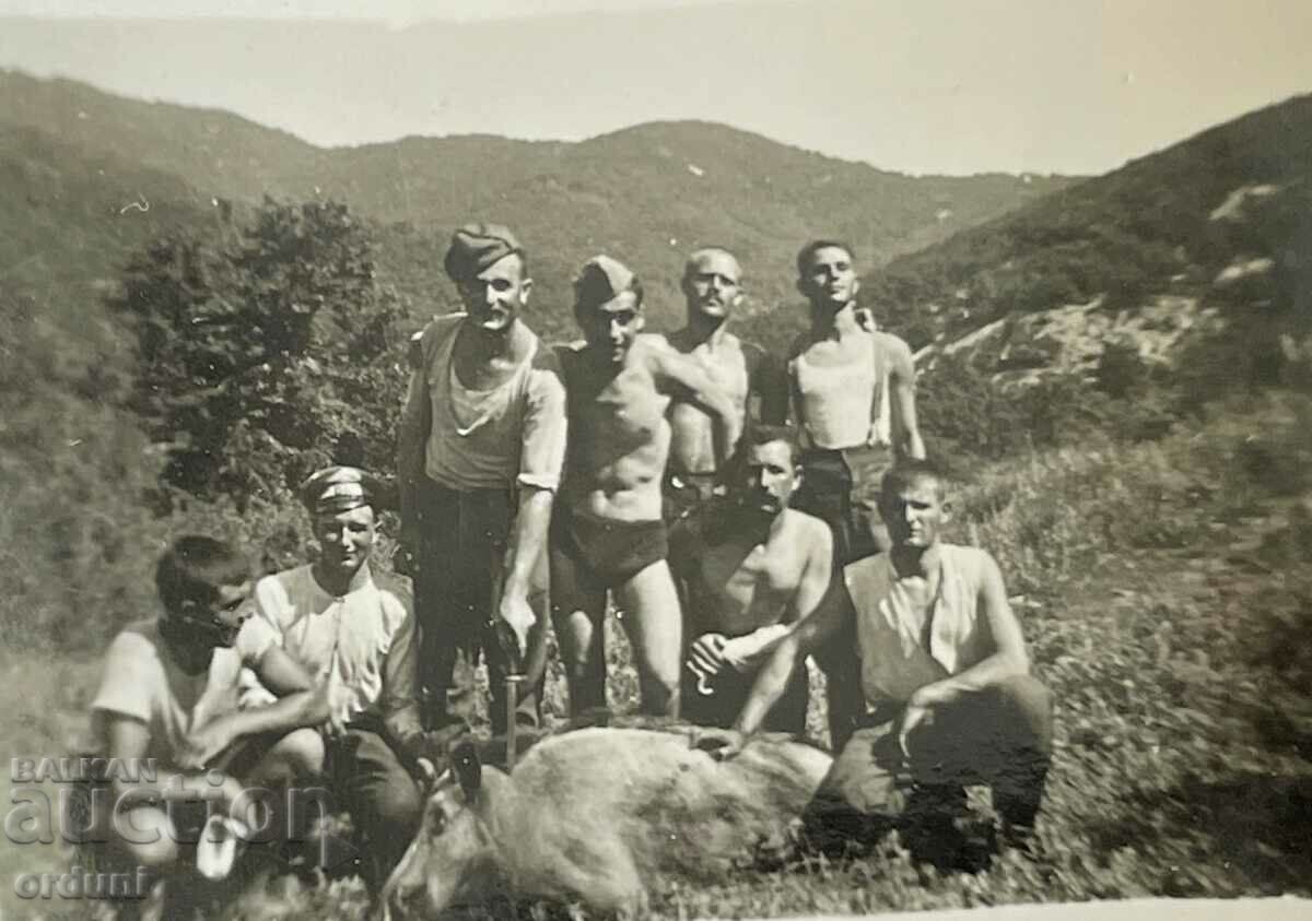 3549 Kingdom of Bulgaria soldiers in front of a killed elk VSV with price 10.00 BGN | € 5.11