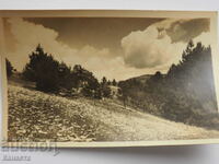 Kotel spring landscape 1953 K 387