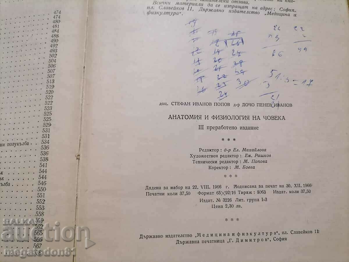 Delivery of Human anatomy and physiology, 1966 edition. Delivery of Human anatomy and physiology, 1966 edition.