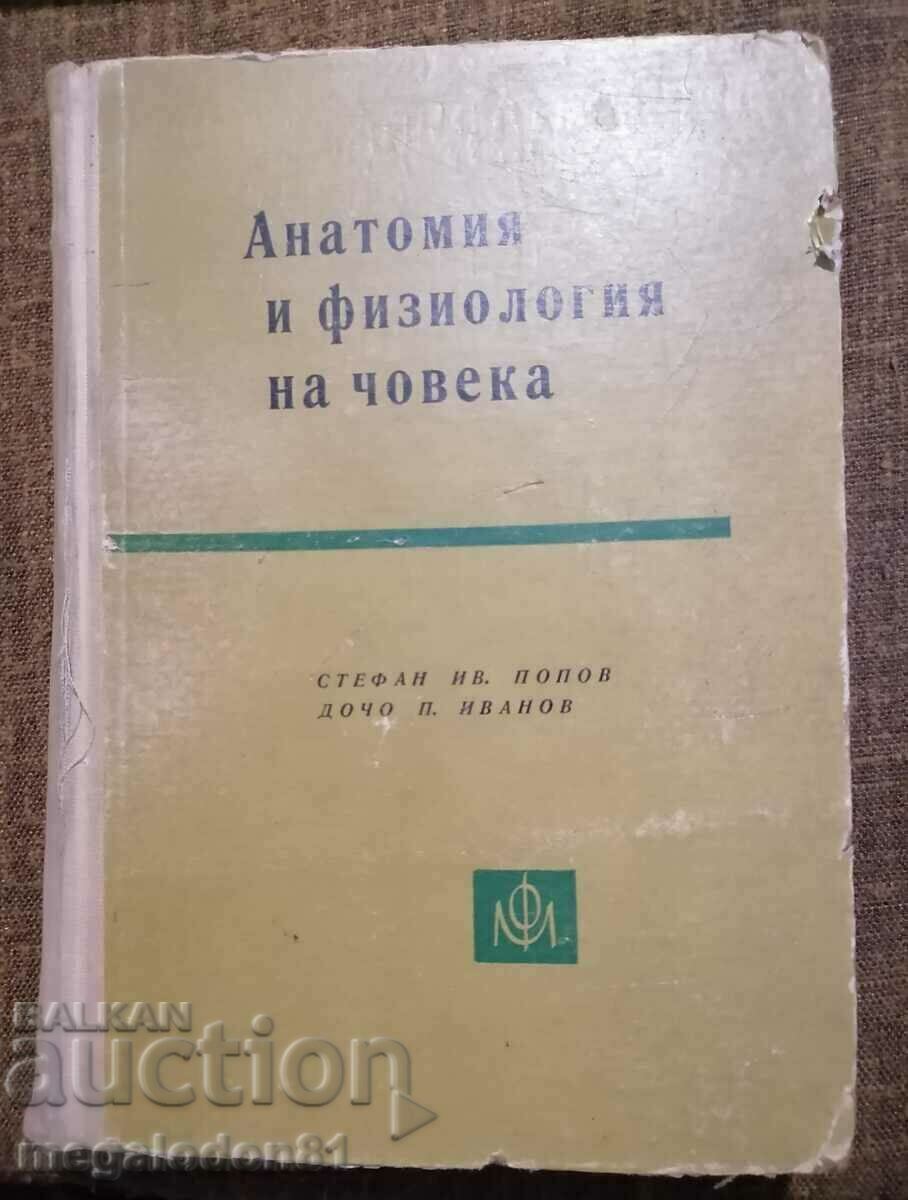 Ανθρώπινη ανατομία και φυσιολογία, έκδοση 1966.