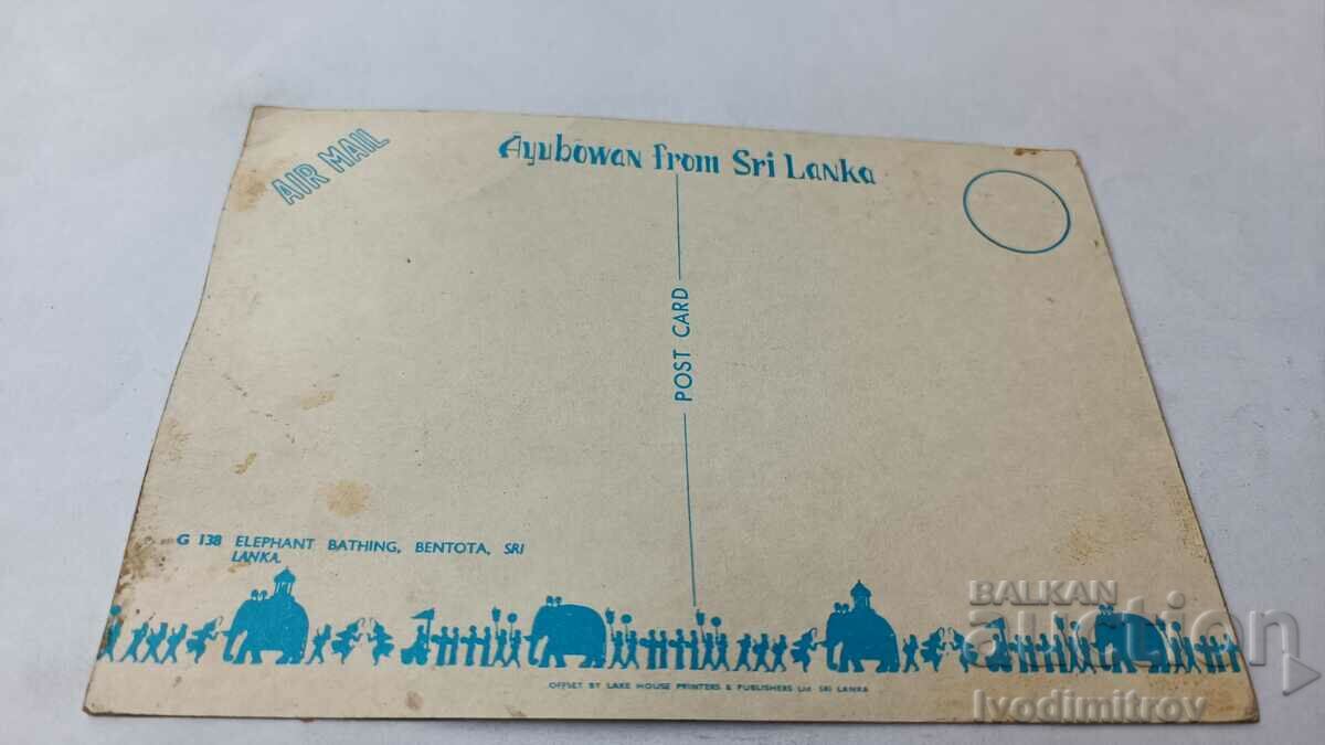 Bentota Elephant Bathing Postcard with price 0.85 BGN | € 0.43 Bentota Elephant Bathing Postcard with price 0.85 BGN | € 0.43